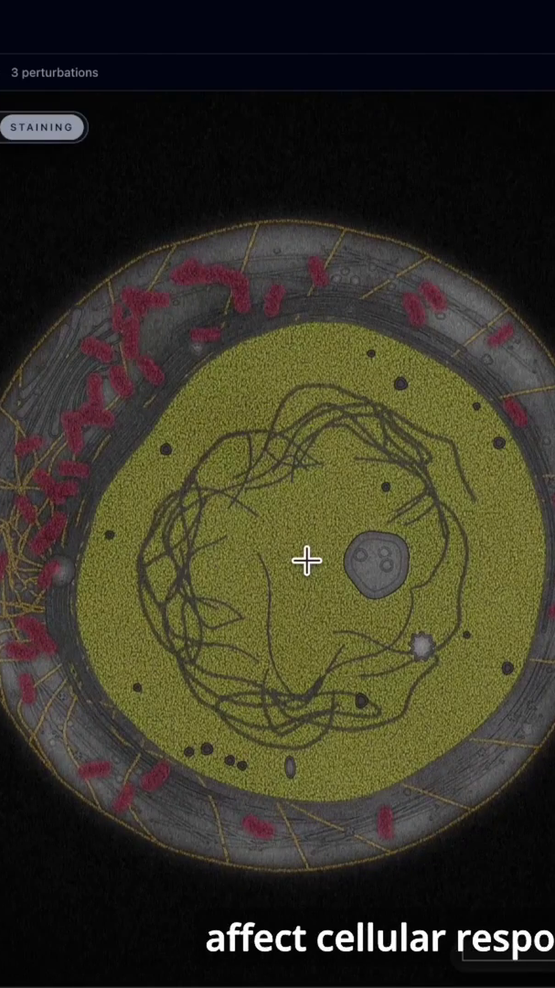 GenBio AI Unveils AIDO Cell, A World Model Of The Human Cell