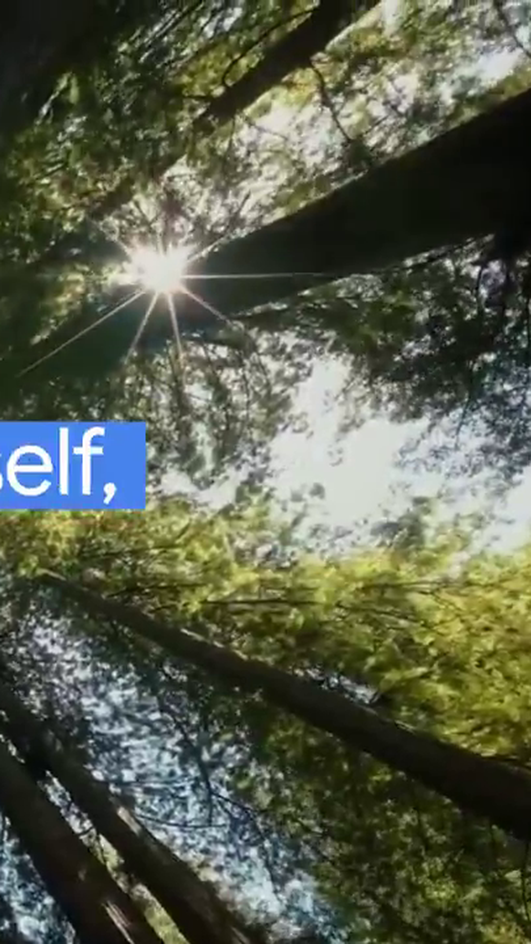 Google Quantum Echoes Algorithm Runs 13,000x Faster Than the World's Best Supercomputer