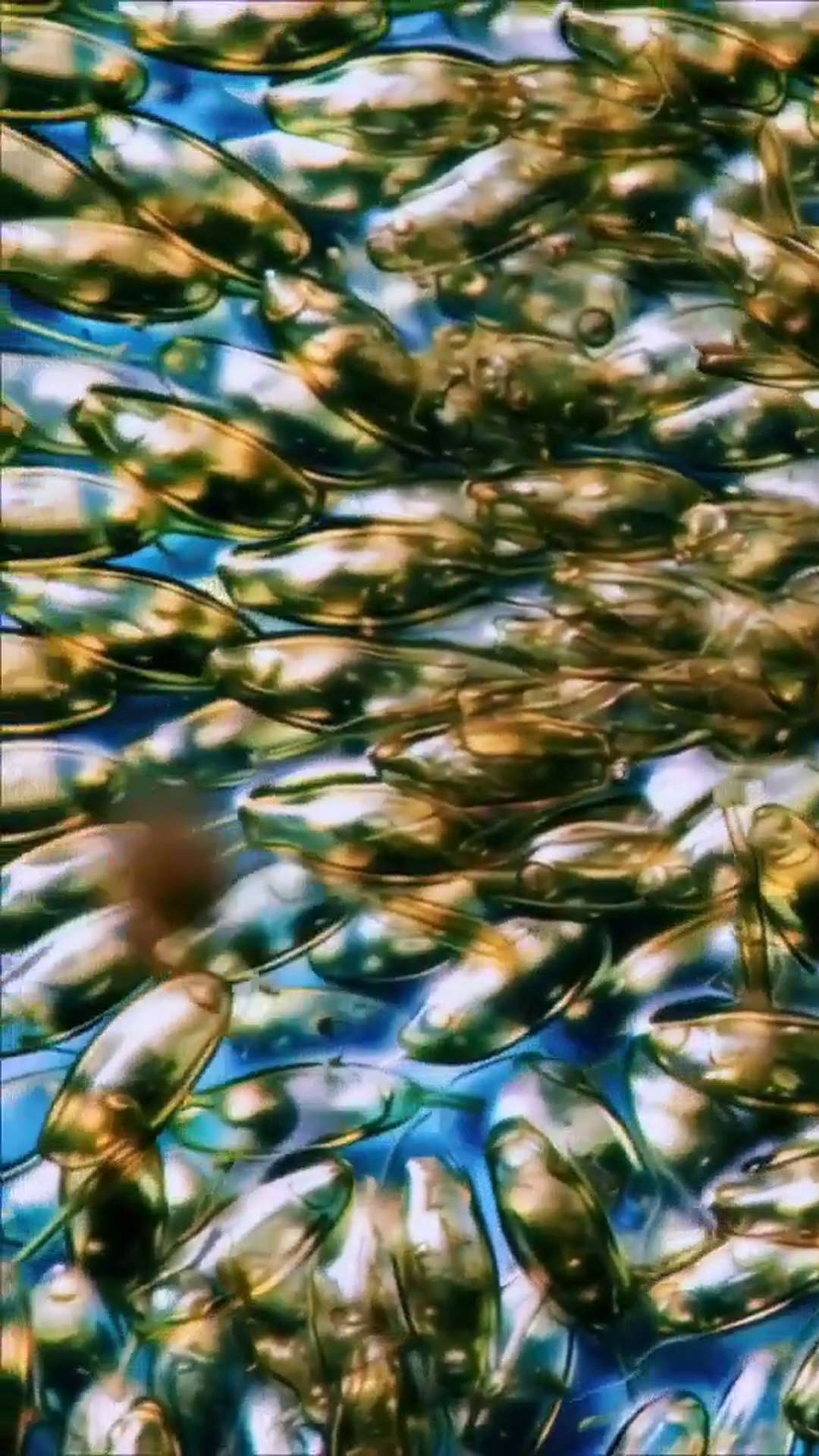 Mischief 1 Is A Cheap AI Video Model Built From Brain Cell Research